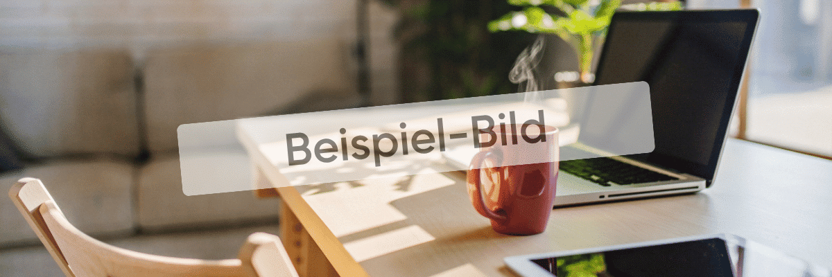 Beispiel-Bild Beispiel-Bild