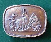 gamskala169
